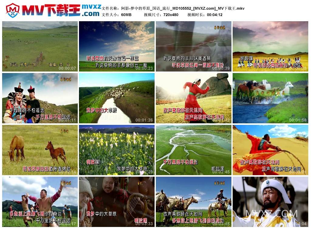 阿影-梦中的草原_国语_流行_MD105552